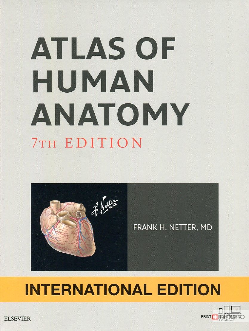 Атлас анатомії людини. 4-те видання (мг) (англ. мовою)