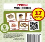 Гриби. Mushrooms. Навчальні картки (укр/англ) (не має на в-ві)