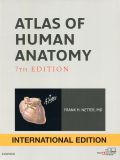 Атлас анатомії людини. 4-те видання (мг) (англ. мовою)
