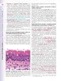 Гістологія: підручник і атлас: З основами клітинної і молекулярної біології. У 2-х томах. Том 1. Зображення №27