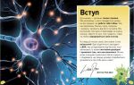 Карколомний мозок.Імпульсивні нейрони,мінливі синапси,хвостаті аксони. Зображення №3