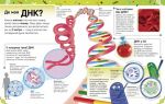 Надзвичайні ДНК. Зображення №5