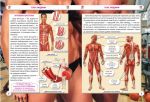 Усе про тіло людини. 1000 цікавих фактів. Зображення №2