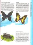 Велика енциклопедія тварин. Зображення №2