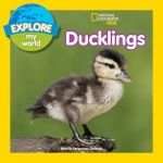 Explore My World: Ducklings