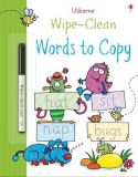 Wipe-Clean: Words to Copy