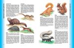 Велика енциклопедія тварин. Золота колекція. Зображення №2