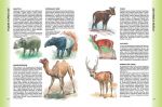Велика енциклопедія тварин. Золота колекція. Зображення №5
