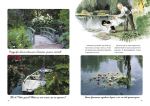 Книга для детей Линнея в саду художника (на украинском языке). Зображення №3