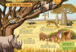 Велика ігрова енциклопедія Тварини світу. Зображення №4