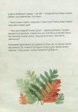 Книга Кто растет в лесу (на украинском языке). Изображение №2