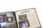 J.K. Rowling's Wizarding World. The Dark Arts. Зображення №6