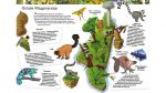 Дивовижний світ тварин.  Дитяча енциклопедія. Зображення №4