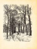 Пітер Пен у Кенсінґтонських садах : ілюстрації Артура Рекхема. Зображення №13
