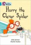 Big Cat  7 Harry the Clever Spider. Workbook.