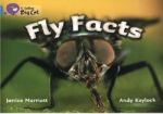 Big Cat  7 Fly Facts.