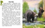 Читаю про Україну : Тварини гір. Изображение №2