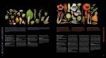 Атлас квіткових рослин. 200 ботанічних родин у незвичайних ракурсах і найдрібніших деталях. Зображення №3