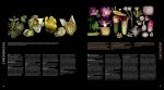 Атлас квіткових рослин. 200 ботанічних родин у незвичайних ракурсах і найдрібніших деталях. Зображення №5