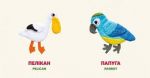 Книга Птицы. Birds (на украинском языке). Изображение №3